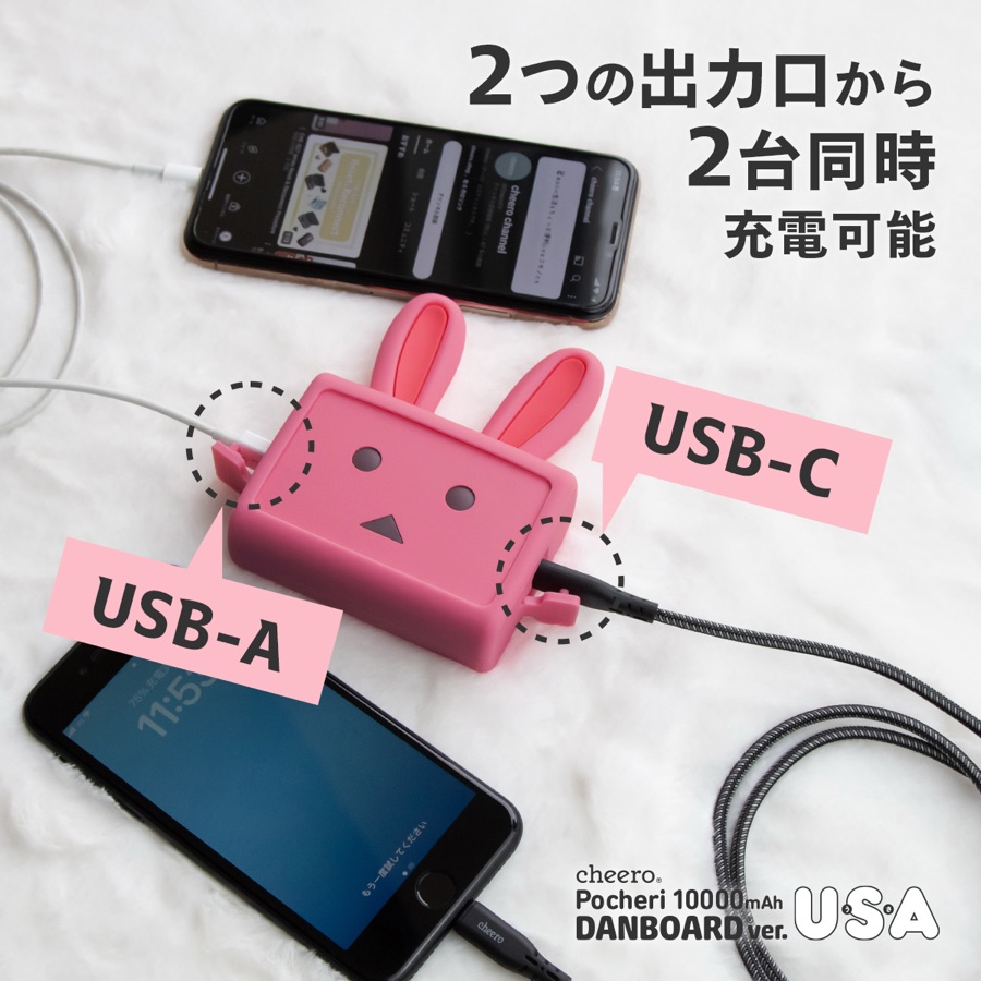 Pocheri USA Danboard ver. 10000mAh